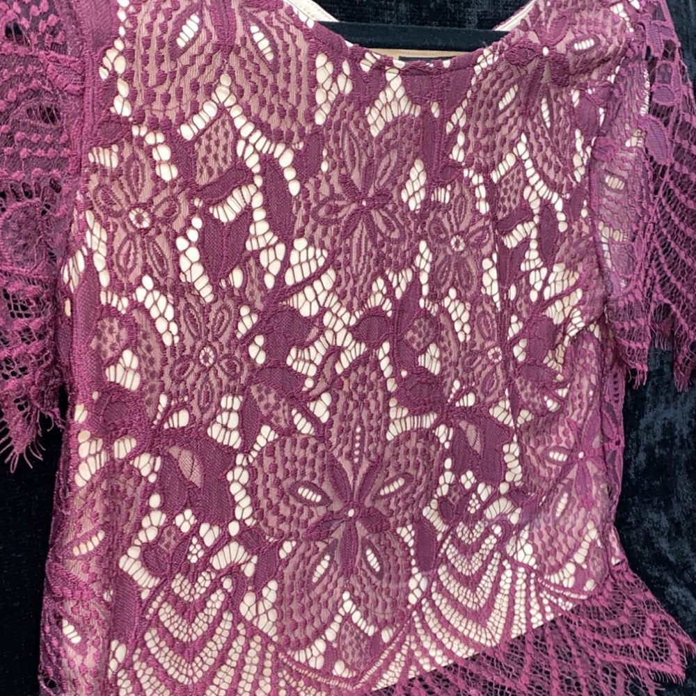 Express maroon/tan lace crop top